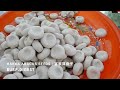 How to make Hakka Abacus Seeds | 客家算盘子 PART 1 (Grandma Recipe) | Burp.Digest by Fion Boon