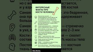 Факты про кости человека #3 #shortvideo #sorts #shorts