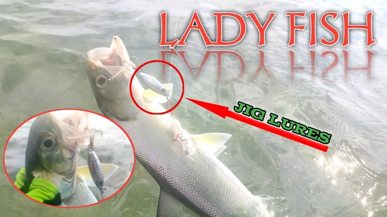 UL Ep 21 LADYFISH CATCH ( jig lures lang malakas ) FISHING BID BID