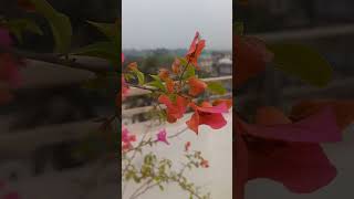 @subscribeme1992 @QuickSupport @VillageCookingChannel @viralhog @viralvibes-d2g