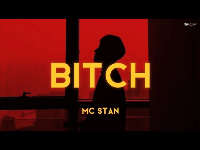 MC Stan – Bitch Lyrics