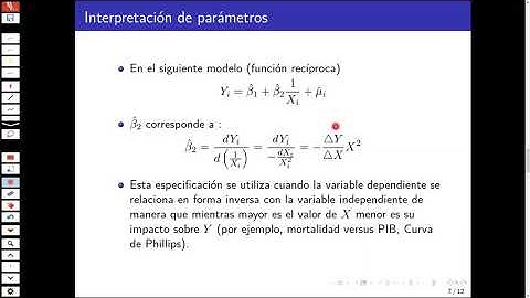 Econometría Interpretacion Parametros Forma Funcional