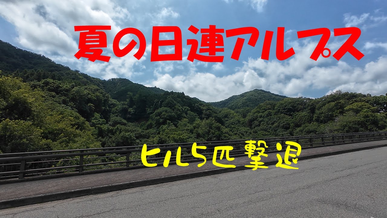 【ぴんきり低山巡り】藤野駅から日連アルプス周回　金剛山・峰山・日連山・宝山  2025/7/13