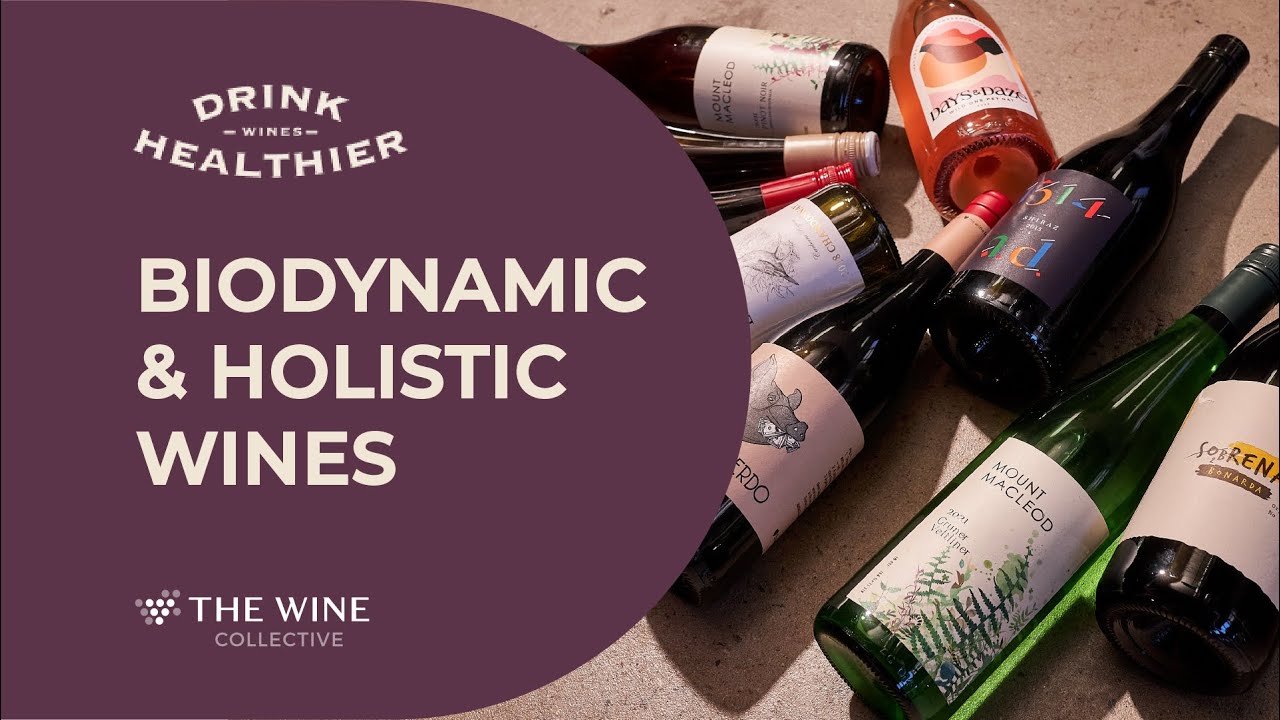 Biodynamic & Holistic Winemaking - YouTube