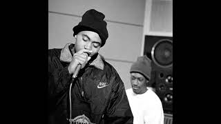 Nas - Life Is Like A Dice Game (OG Instrumental Rip) [High Quality]