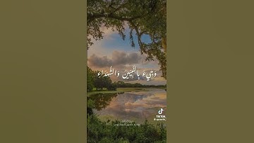 وَأَشْرَقَتِ الْأَرْضُ بِنُورِ رَبِّهَا | تلاوة نادرة خاشعة للشيخ محمد صديق المنشاوي