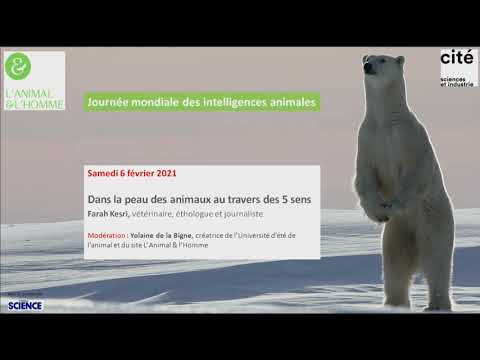 Dans la peau