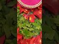 mysuru_platesdecor shree.vasavievents DM for more 81230 47626