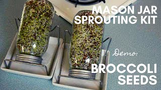BROCCOLI SEED SPROUTING 101 // How to use a mason jar sprouting kit