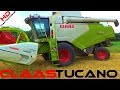 Claas Tucano 570 APS HYBRID | Vario 770 | Getreide dreschen