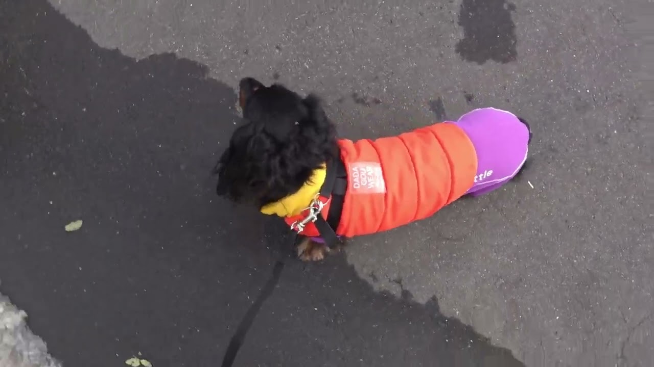 リクとまいは、山コースはクン活とマーキング！？