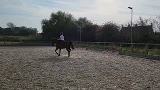 Charlotte Knell & Monty - Horse Id 18783 - September 2023 - Novice 3E - Main Arena