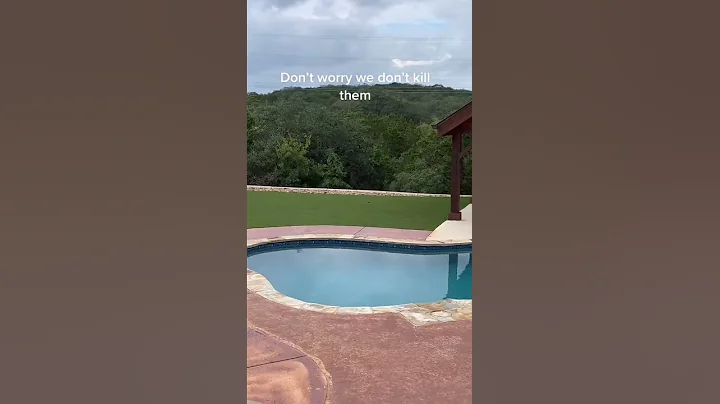 When You Can See the Spider From the Back Door || ViralHog