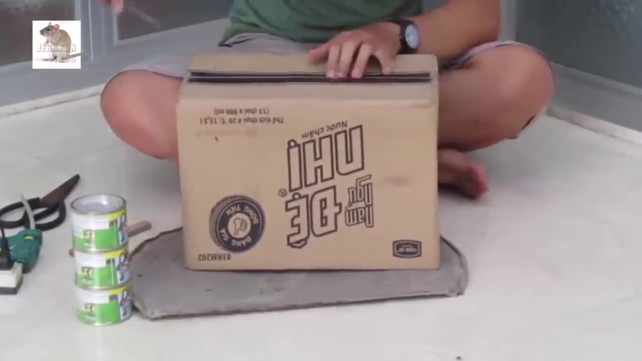 Cola pega rato acabem com os ratos - YouTube