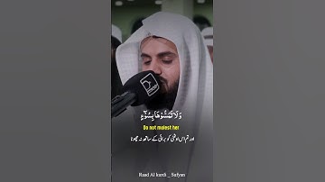 Raad Al kurdi Whatsapp status with Urdu English translation|رعد الكردي حالات واتس اب|سورة الشعراء