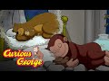 The Big Sleepy 🐵 Curious George 🐵Kids Cartoon 🐵 Kids Movies 🐵Videos for Kids