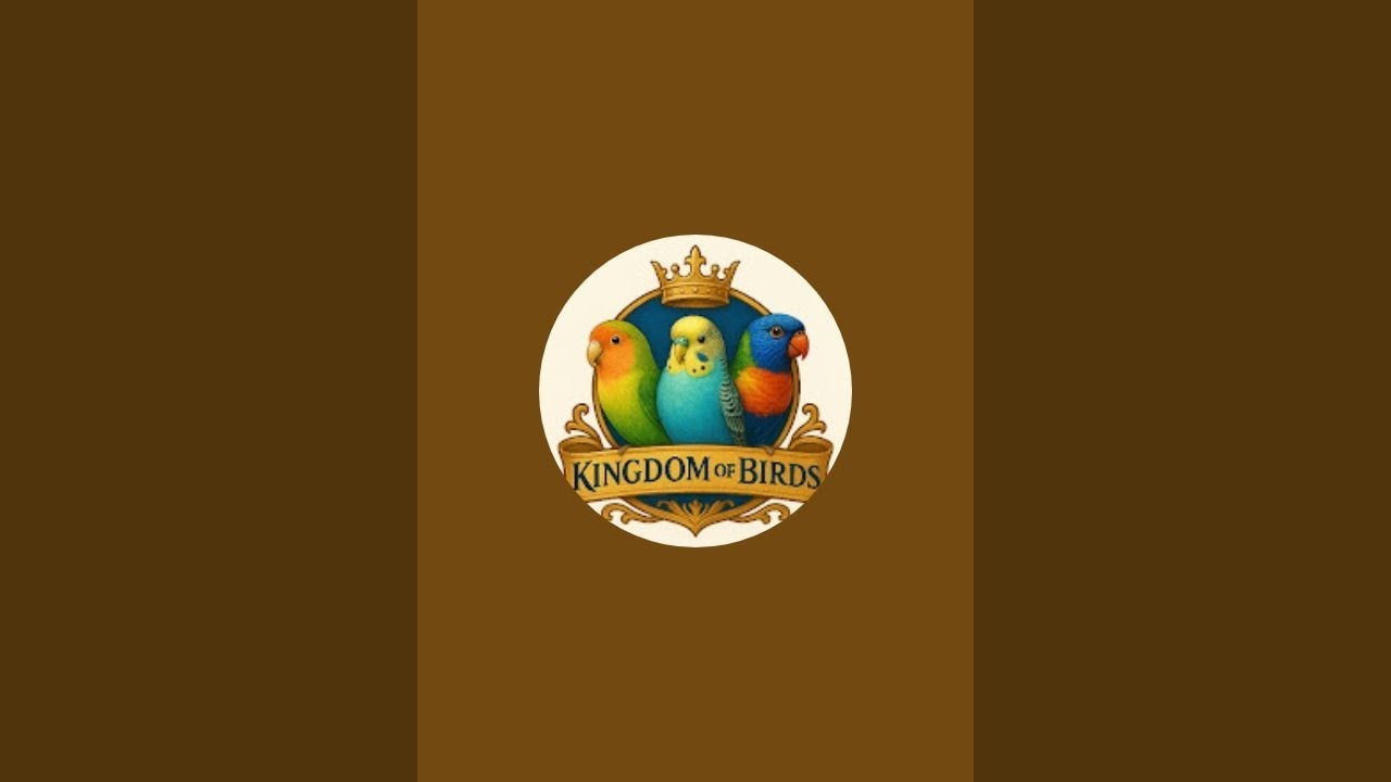 Kingdom of Birds is live
