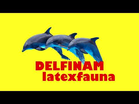 Delfinam