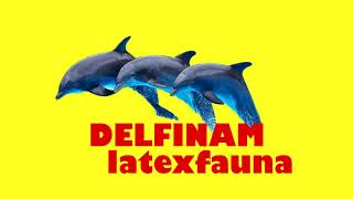 LATEXFAUNA DELFINAM / audio & lyrics