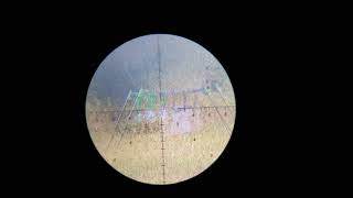 Shooting with the Primaryarms Silver SLx6 3-18x50 & the Magnetospeed llc T1000 target hit indicator