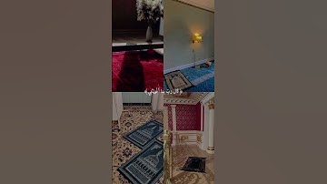 قرآن تلاوة هادئة #53 #تلاوة #تلاوات #تلاوة_خاشعة #قران_كريم #اكتب_شي_تؤجر_عليه #قرآن
