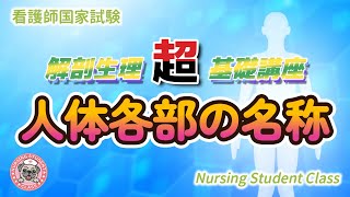 上肢、下腿、オトガイ、頬部、肩峰 etc 正確にはどこを指す？ 解剖生理の超基礎講座「人体各部の名称」