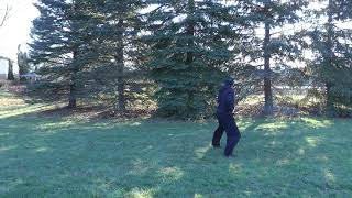 Advance Fut Gar Form - Tuern Jung (Elbow Form )