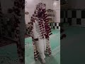 Untitled video