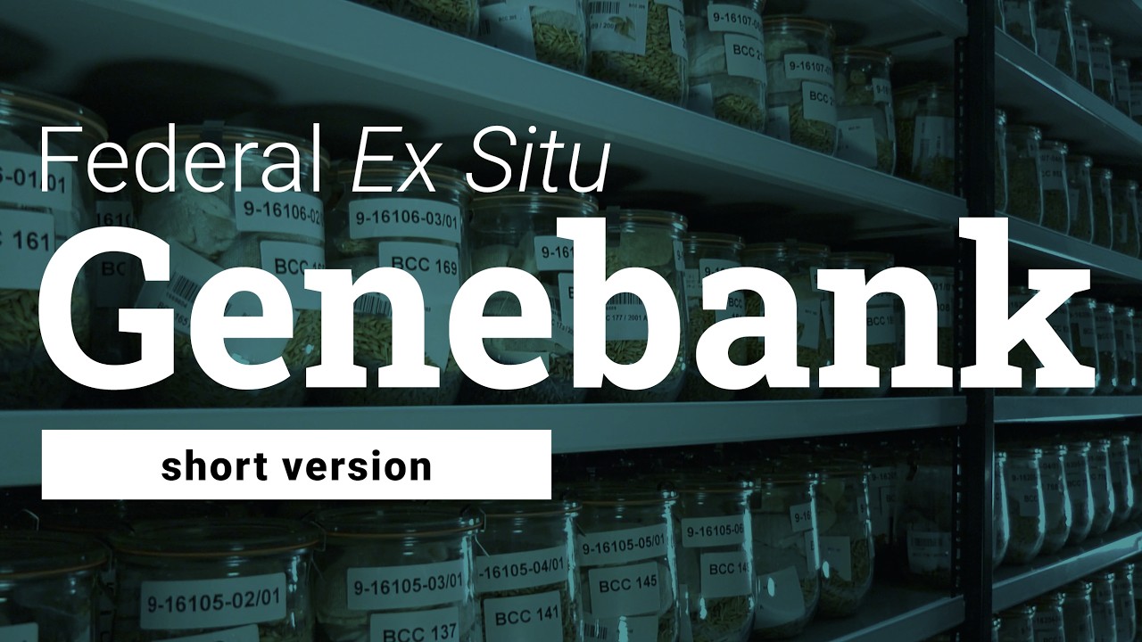 Roll film for the Genebank! [short version]