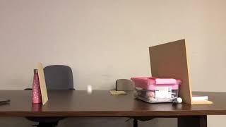 Reference Video: Level 1: Assignment 1