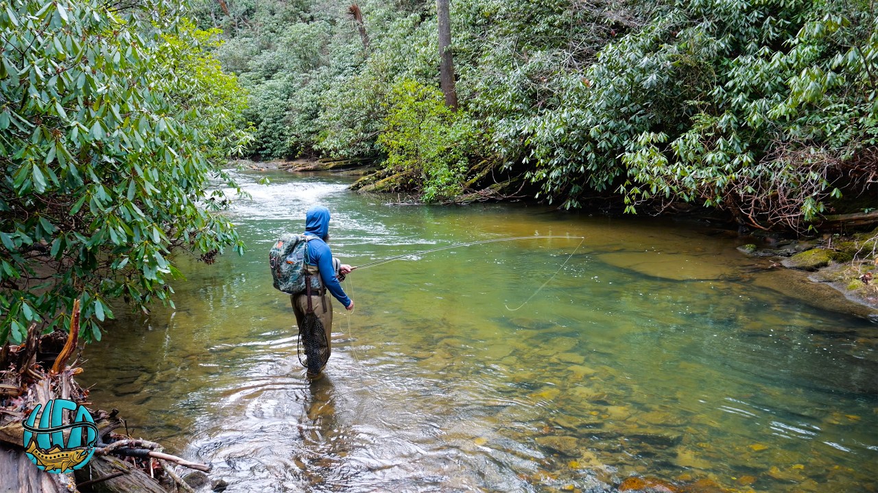 Fly Fishing Hidden Creeks for Backcountry Brown Trout (Fly Fishing)