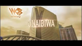 Rayvanny - Unaibiwa (  Video music )
