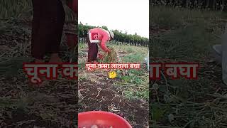 # तुम्ही कोणाला लावला 🤣#Marathi comedy