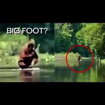 Nuevo video Viral de Pie Grande. Michigan EUA-USA - New Viral Bigfoot footage