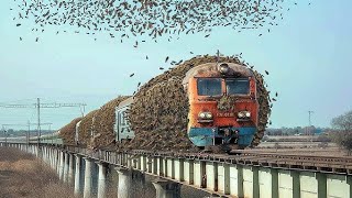 100 NEVJEROVATNIH MOMENATA SNIMLJENIH KAMEROM 