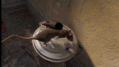 Bored in Half Life Alyx ( No Audio :( )