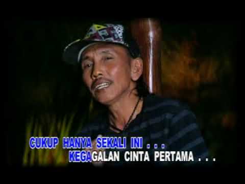 TAK SEBENING HATI - 14 LAGU KARYA EMAS LEO WALDY