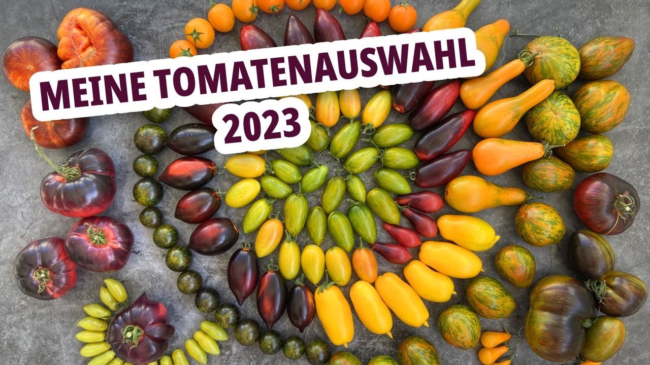 Meine Tomatenauswahl 2023