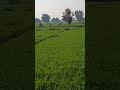 Akhrat ki gikr kren Ya Allah Maf Krna #voiceeffects #viral