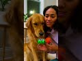 This Broken Dog Found Hope Again 🐶💔 #shorts