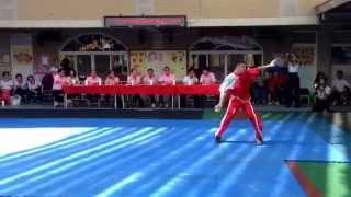 20140727段位晉升-蔡俊宜鷹爪拳