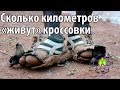 Срок службы беговых кроссовок