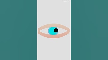 template cuz I’m too lazy to edit #fypシ゚viral #fypage #elleb34