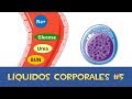 Líquidos Corporales #5 💧 Electrolitos y Osmolaridad