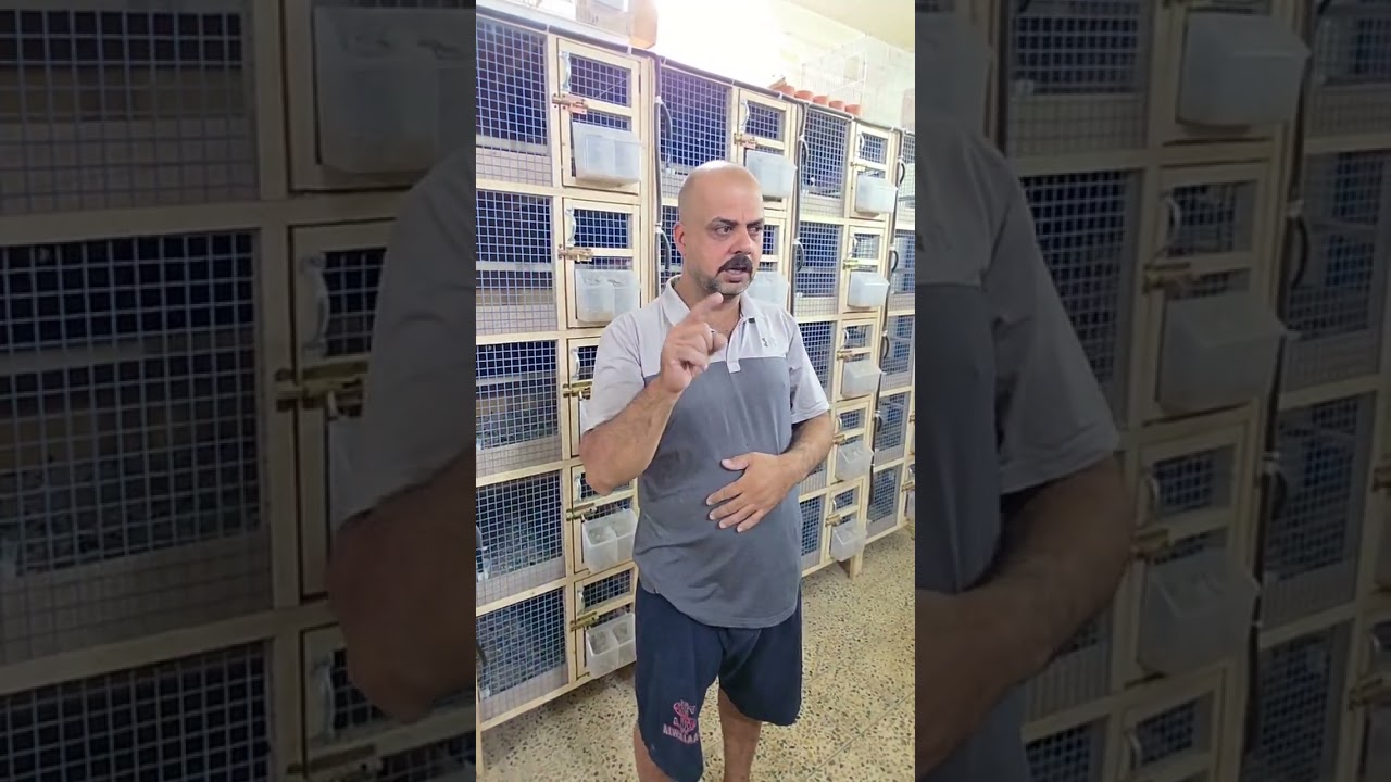 زيارة الى الكابتن حمودي الحسناوي الاغر والمقبط البغدادي 