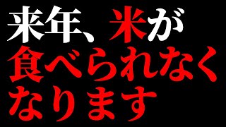 【JAが警告】来年、米が食べられなくなる【食糧危機】