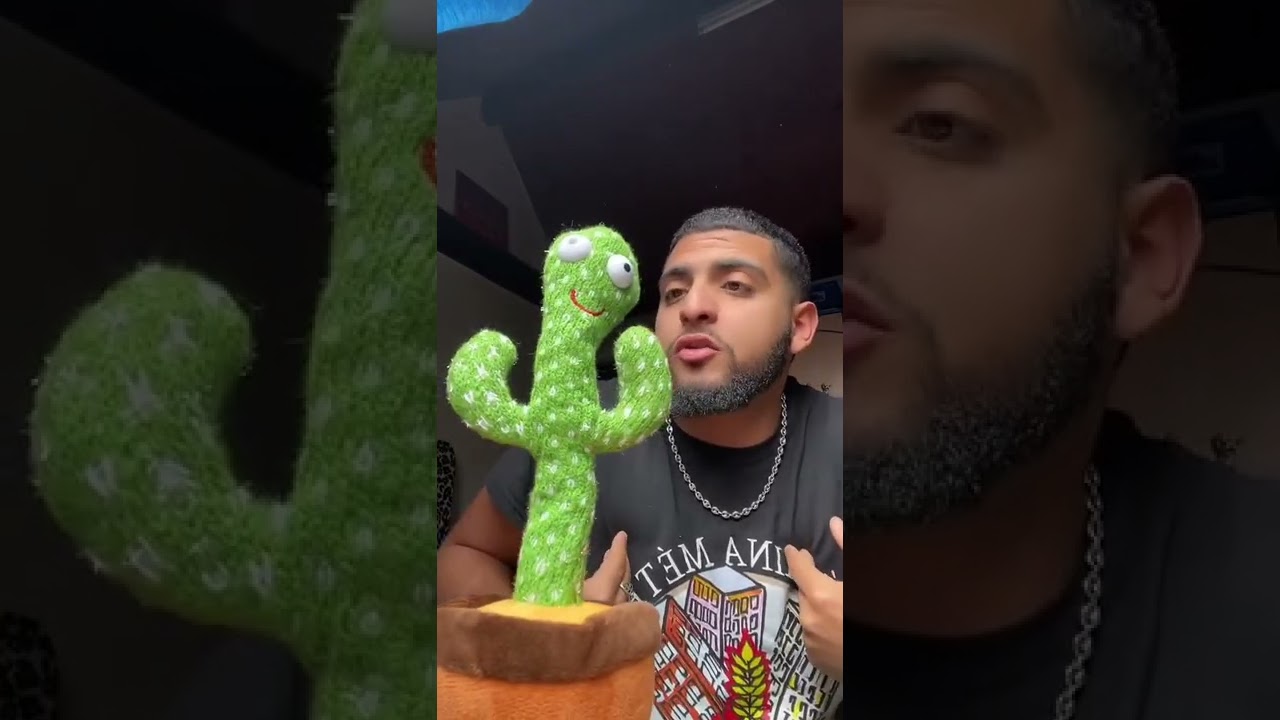 Marcus le cactus dansant (@marcus_le_cactus)