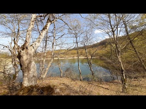 #7. უძირო ტბა - #7. Udziro Lake (პროექტი \'საქართველო ჩვენს გარშემო\')