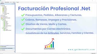 Facturación de ventas para Profesionales screenshot 3