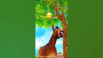 How My Star Stable Horses Laugh In Sso Star Stable Edit!😭 / Sso Short / Sso Edit #sso #starstable